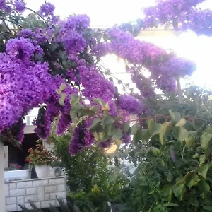  Apartman Branka